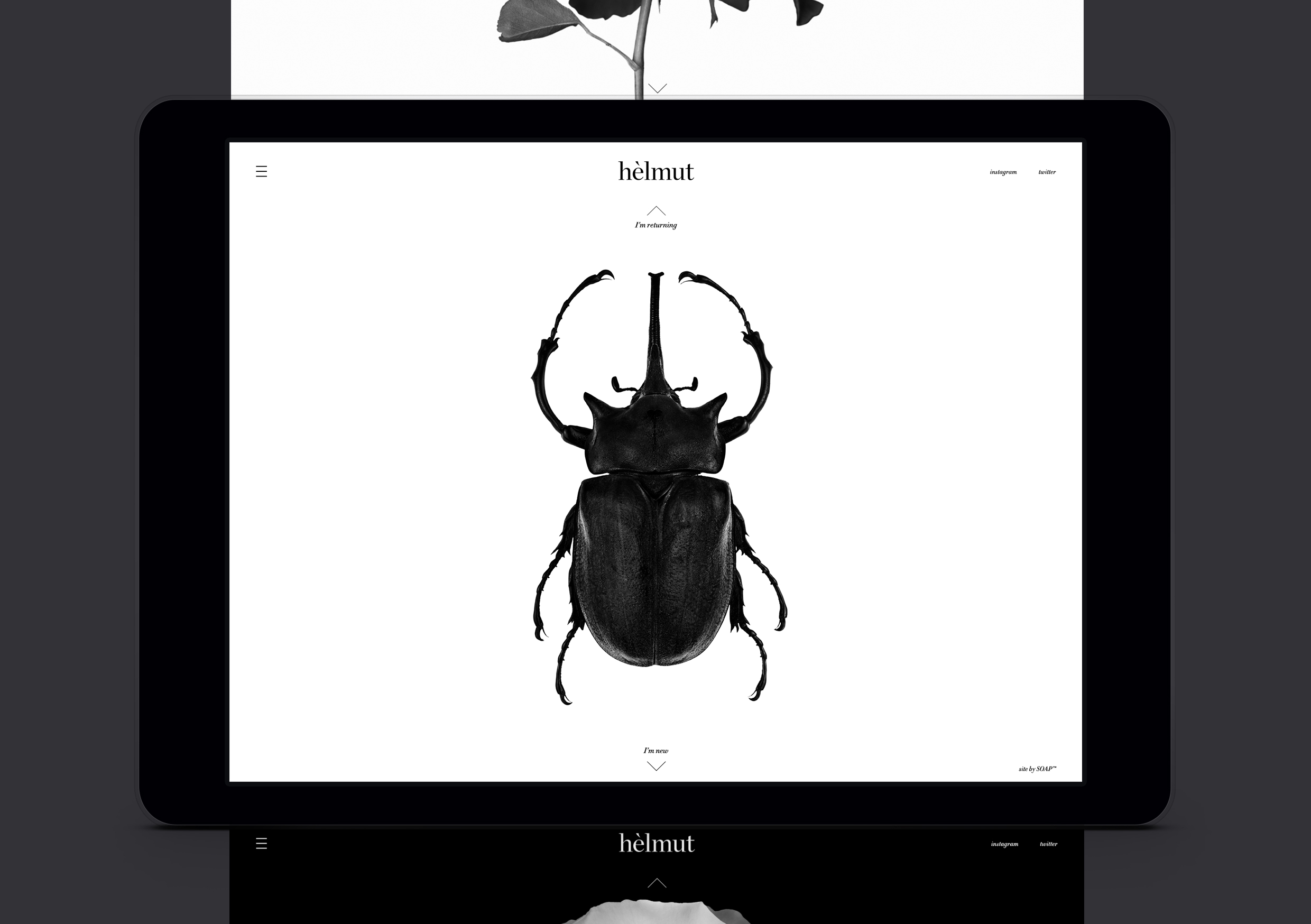 Helmut Salon website homepage showing dark scarab beetle on white background